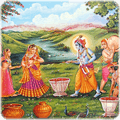 Vasanta Purnima