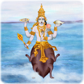 Kurma Jayanti