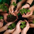 World Environment Day