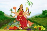 शाकम्भरी पूर्णिमा