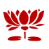 Lotus Flower