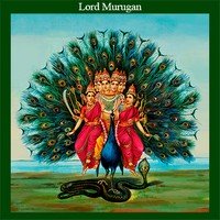 Lord Murugan