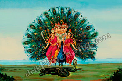 Lord Murugan sitting on peacock