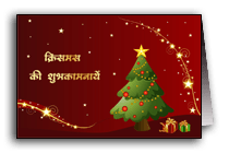 Beautiful Christmas Tree