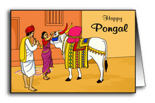 Bull Decoration during Pongal