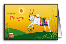 Cattle Worship On Mattu Pongal