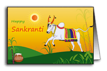 Cattle Worship On Sankranti