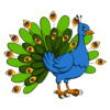 Peacock