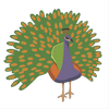 Peacock