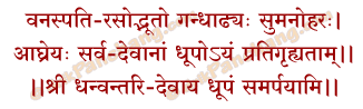 Dhoop Samarpan Mantra in Hindi
