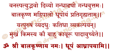Krishna Dhupam Mantra in Hindi