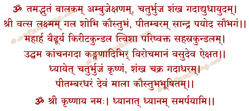 Krishna Dhyana Mantra in Hindi