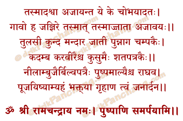Rama Pushpa Samarpana Mantra in Hindi