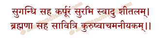 Vat Savitri Achamaniya Mantra in Hindi