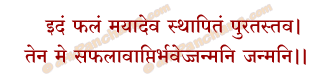 Vat Savitri Phalam Mantra in Hindi