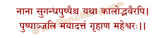 Shiva Pushpanjali Mantra in Hindi