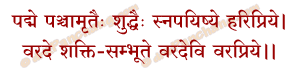 Panchamrita Snanam Mantra in Hindi