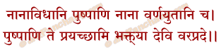 Pushpa Samarpan Mantra in Hindi
