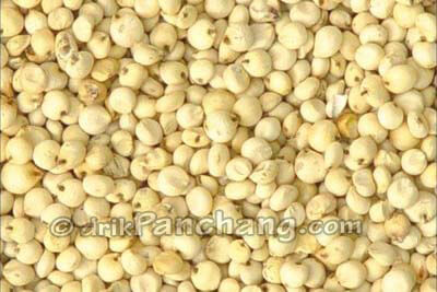 Kangani Seed