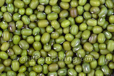 Moong Seed