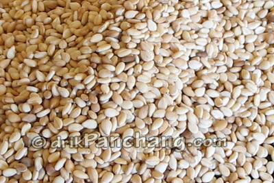 Til Seed